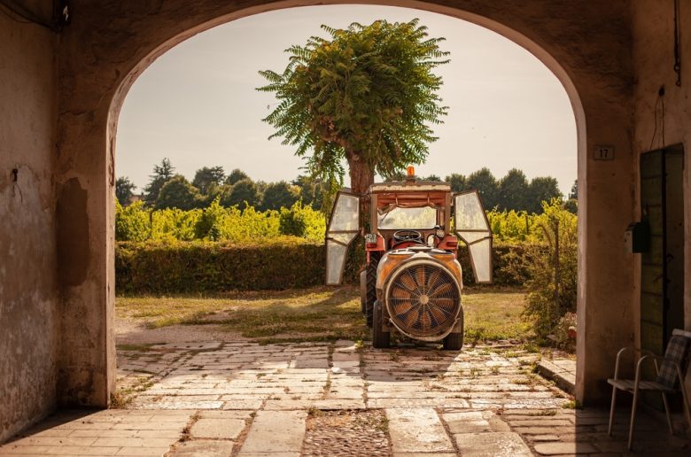 Farma we Włoszech, fot. Filippo Carlot/Shutterstock.com