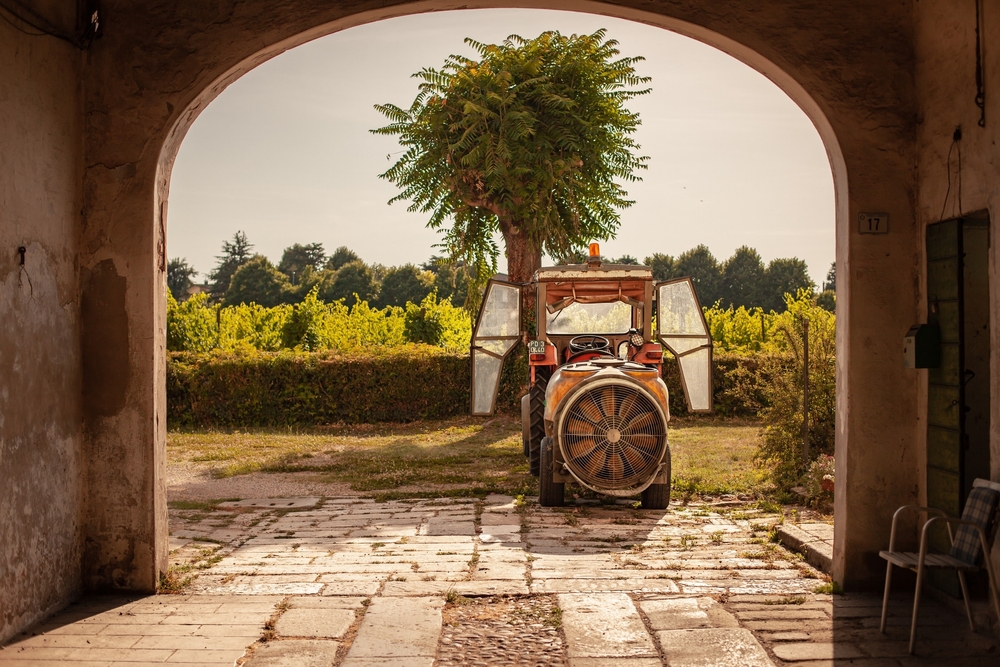 Farma we Włoszech, fot. Filippo Carlot/Shutterstock.com