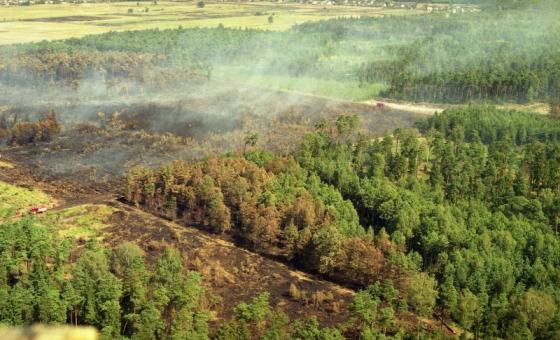 Pożar lasu w 1992, fot. Nadleśnictwo Rudy Raciborskie