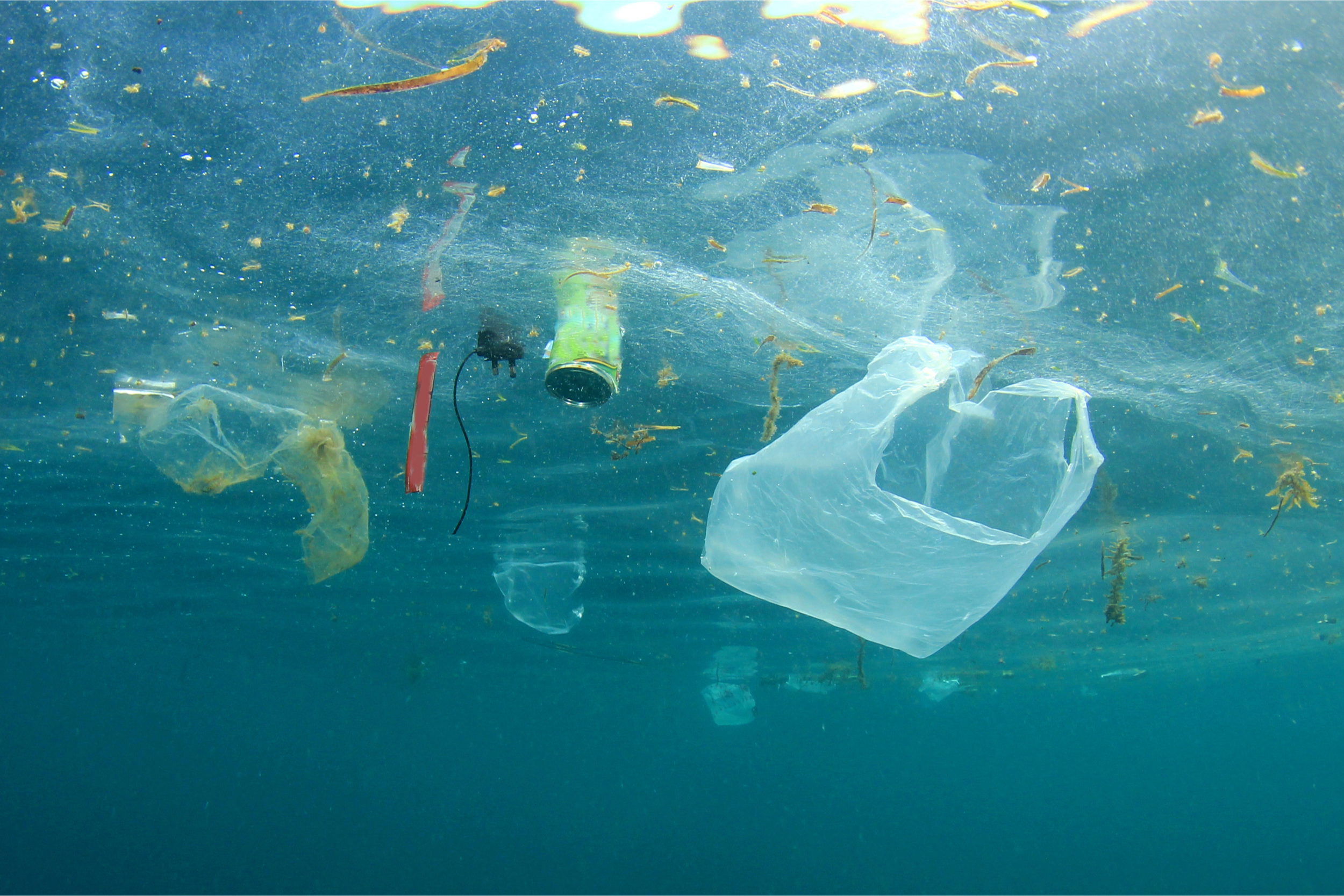 plastikowe torby i opakowania w oceanie, fot. Shutterstock