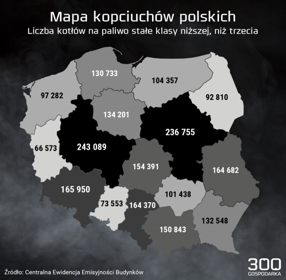 Jak Polacy Ogrzewają Swoje Domy. Ciepło Dają Głównie Węgiel I Drewno