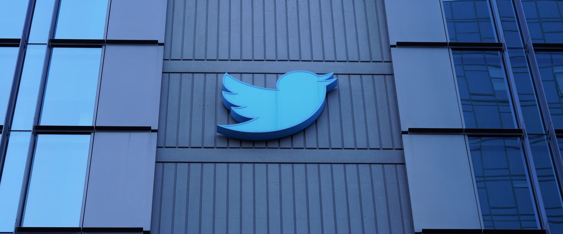Twitter, Elon Musk, pracownicy, fot. Shutterstock