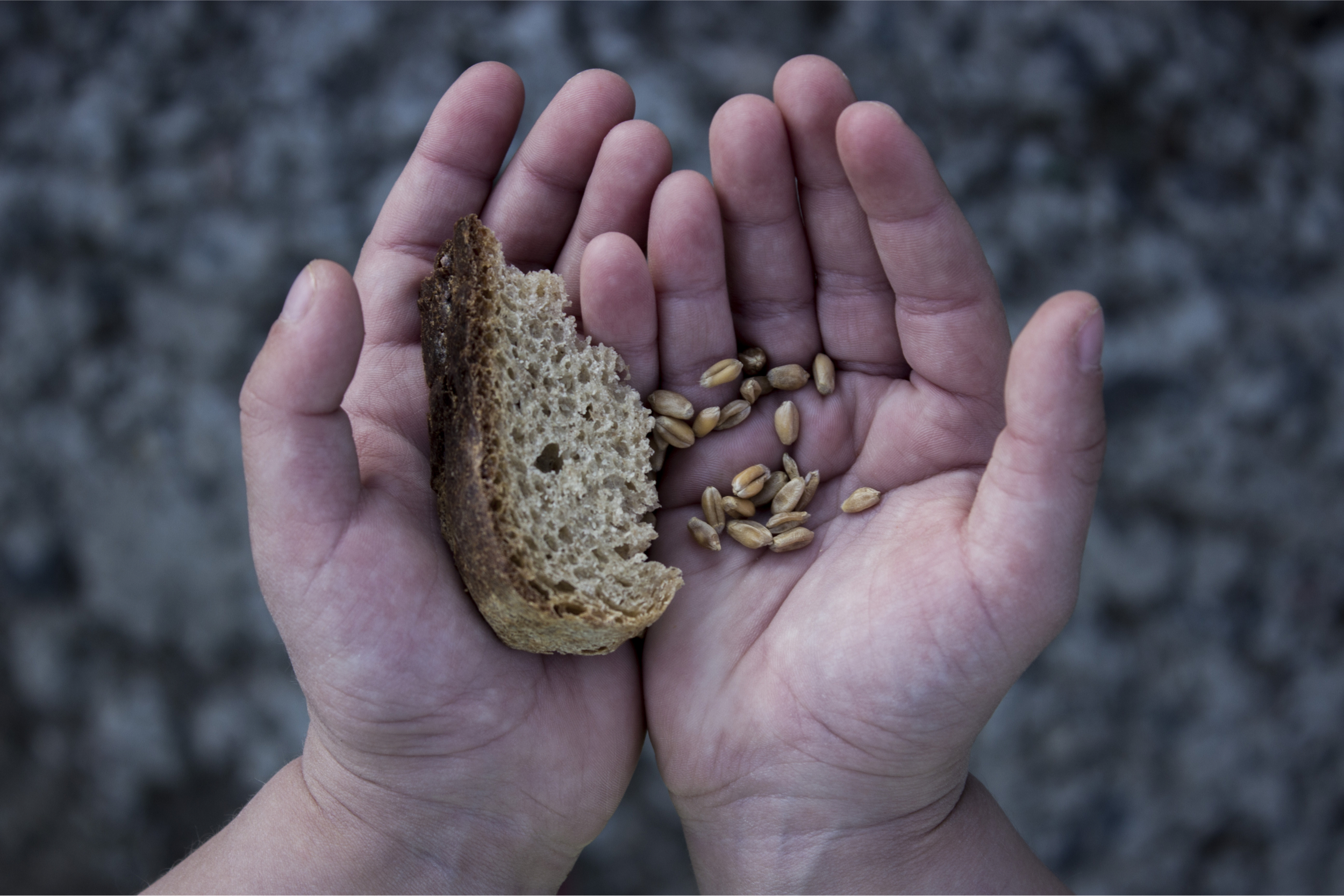 ubóstwo żywnościowe wśród dzieci w UE, fot. Shutterstock