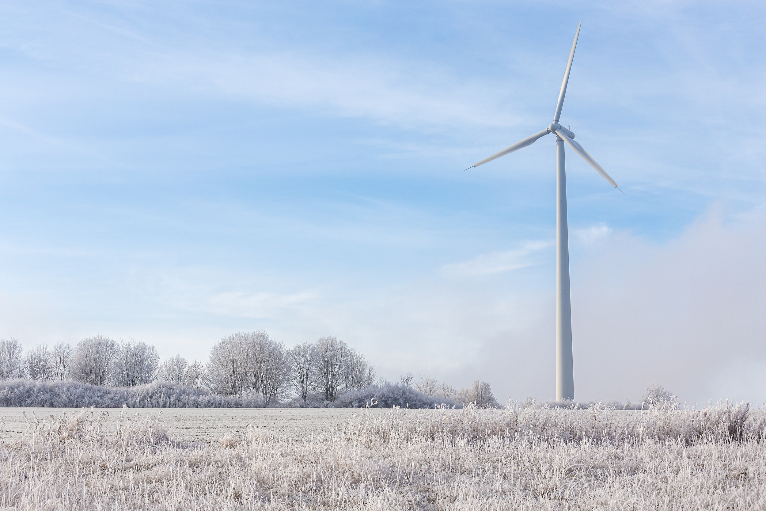 wiatraki, OZE, farmy wiatrowe na lądzie, fot. Shutterstock