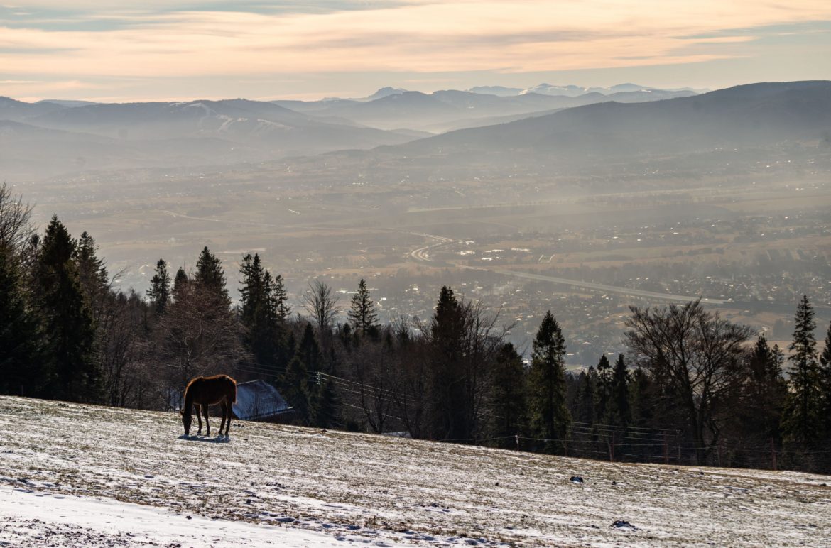Magurka, Beskidy, fot. Michał Dziedziak/Shutterstock.com