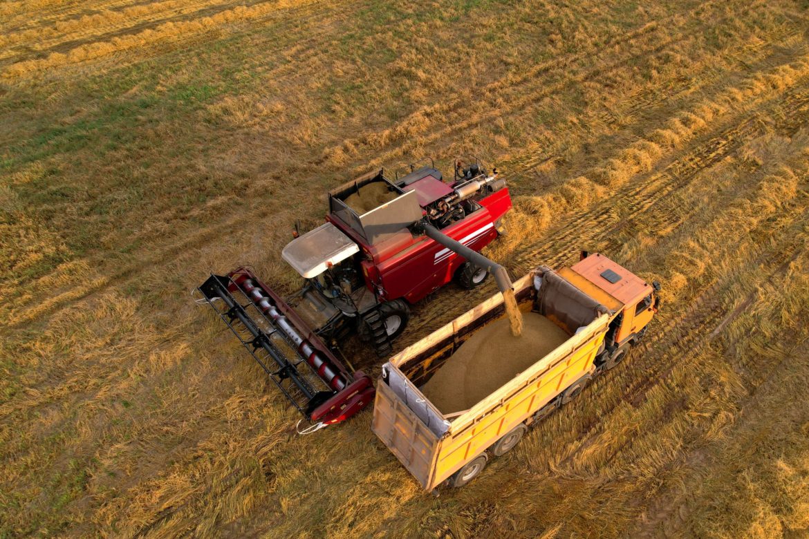 Zbiory zbóż, żniwa