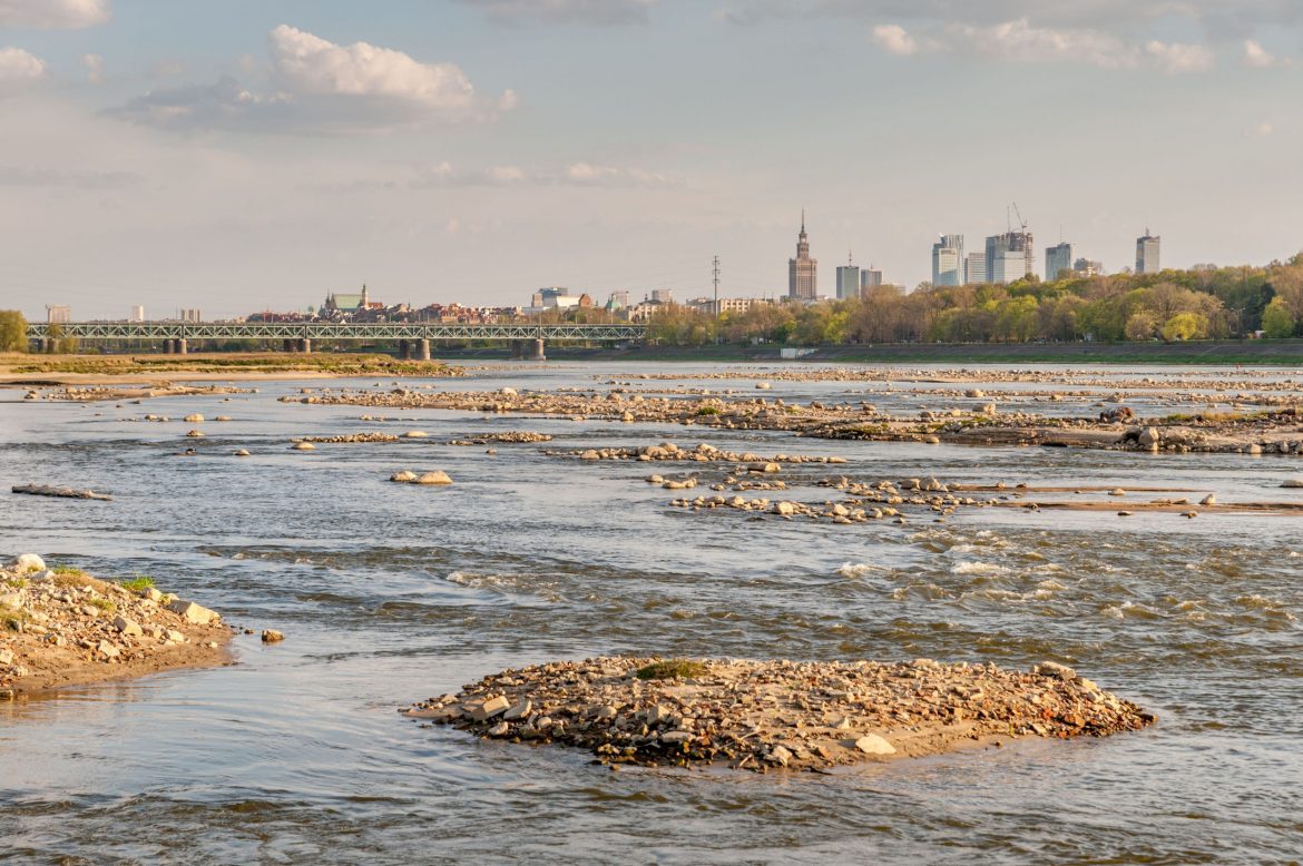 Shutterstock_1717619734 Susza, fot. Shutterstock