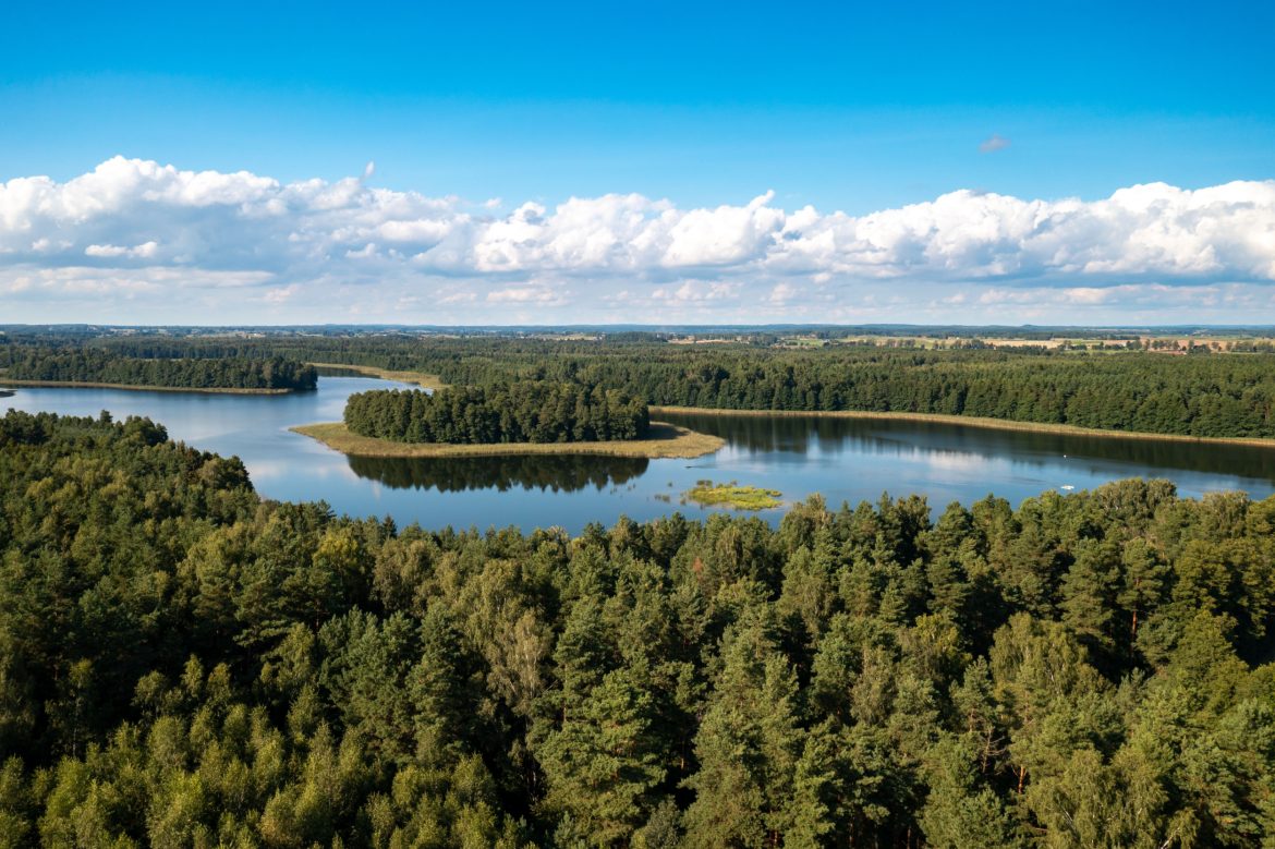 Przyroda Mazur, fot. Shutterstock Przyroda Mazur, fot. Shutterstock