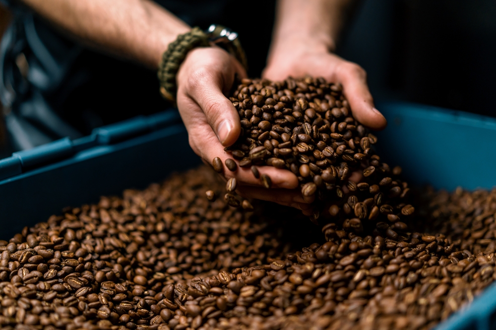 Ziarna kawy, kawa z Etiopii, fot. Shutterstock