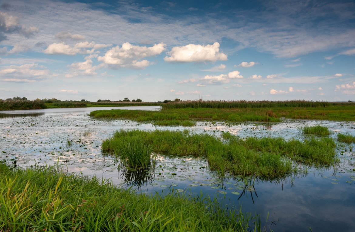 Park Narodowy Ujście Warty, fot. Shutterstock