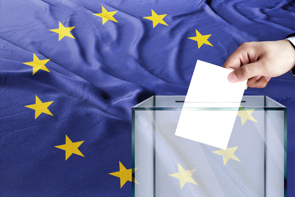 co myślą wyborcy prawicy w Europie? Wybory do Parlamentu Europejskiego, fot. Shutterstock