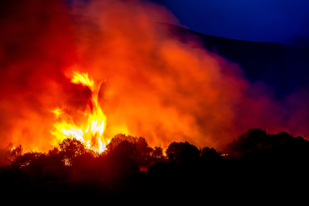 Pożar lasu w Grecji, Evros,, fot. Ververidis Vasilis/ Shutterstock fot. Shutterstock