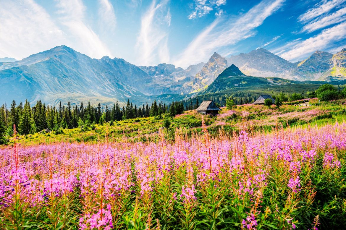Tatrzański Park Narodowy, fot. Shutterstock