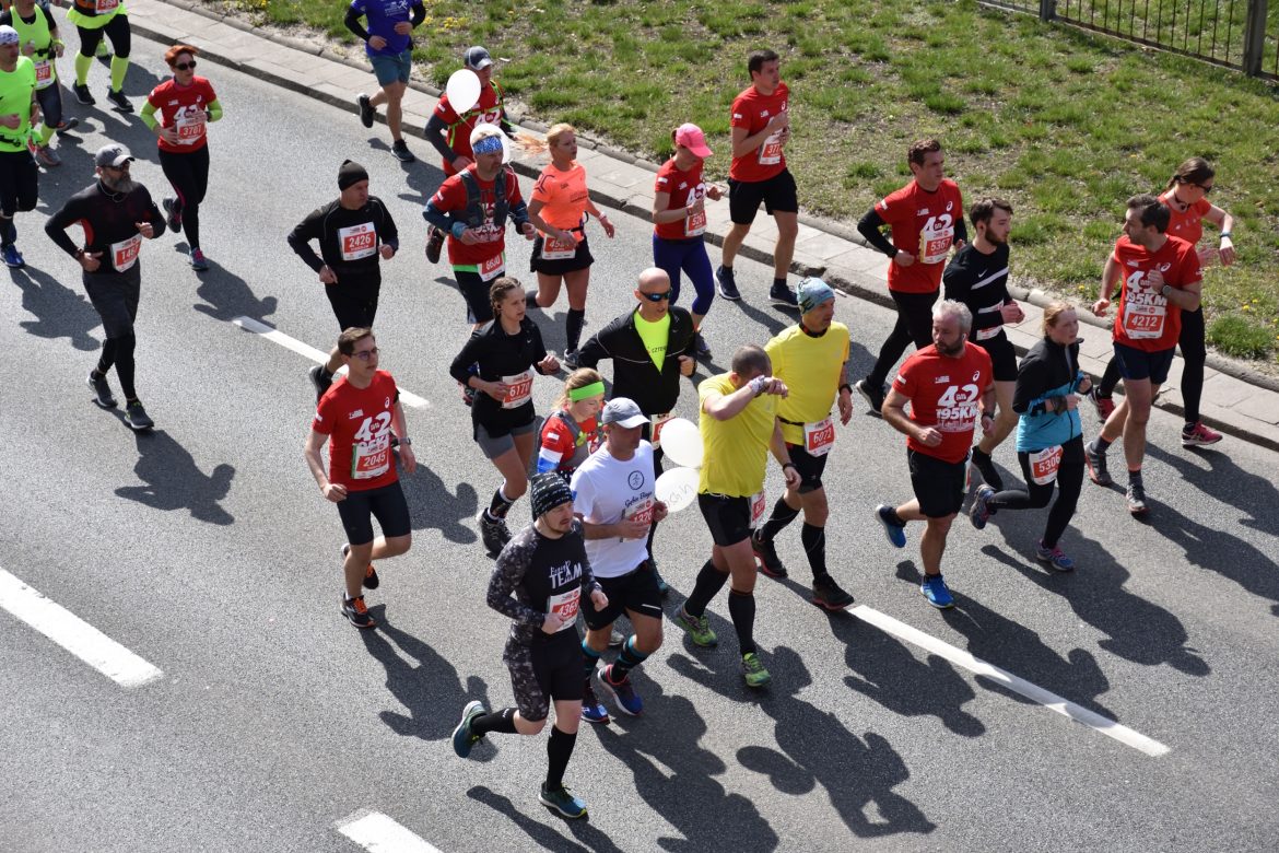 Biegacze, fot. OleksSH / Shutterstock Biegacze, fot. OleksSH / Shutterstock