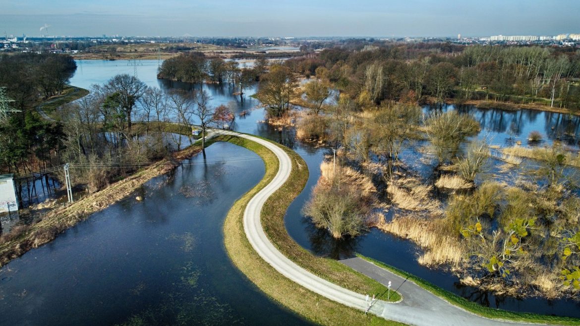 Powódź, podtopienia, fot. FotoDax / Shutterstock