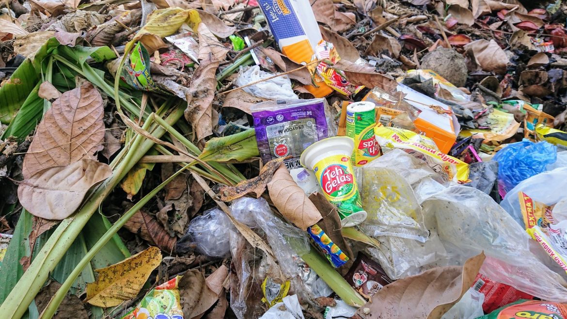 Śmieci w lesie, odpady, zanieczyszczenie środowiska Śmieci w lesie, odpady, zanieczyszczenie środowiska
