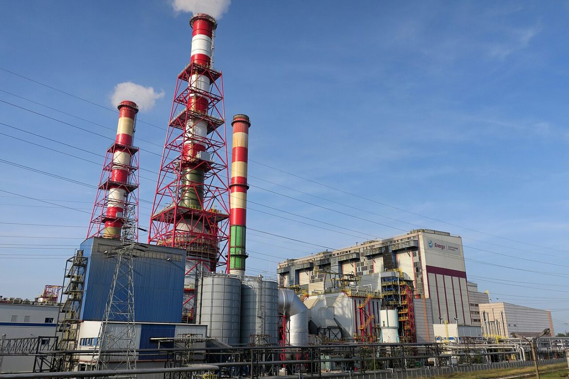 fot. Sylwester Górski/Wikipedia