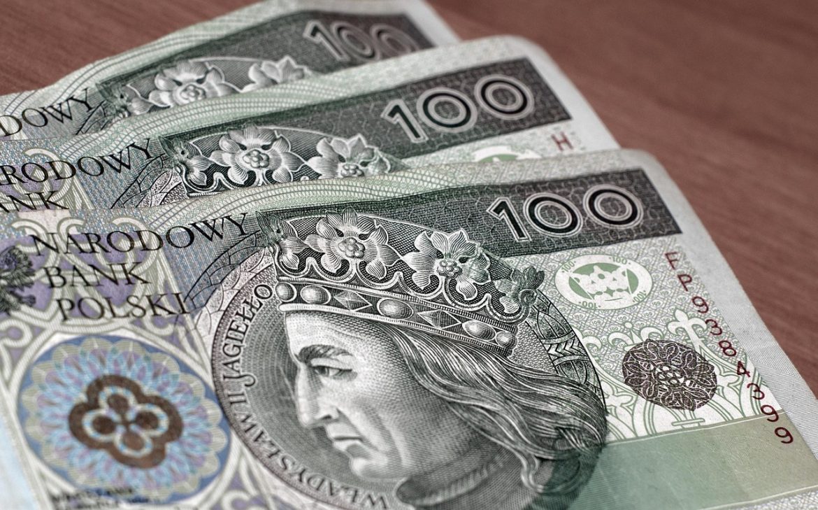 Polski złoty, banknoty PLN, 800+, fot. Pixabay/Arcaion/ Henryk Niestrój