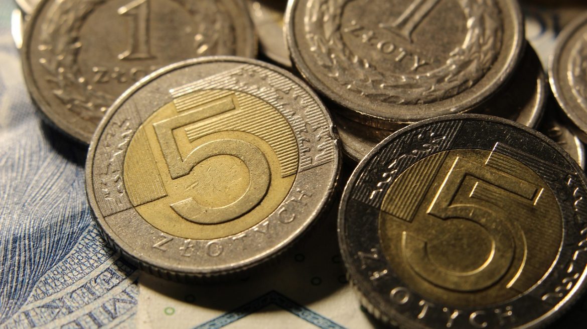 PKB Polski, PLN, polski złoty, fot. Pixabay/gosiak1980