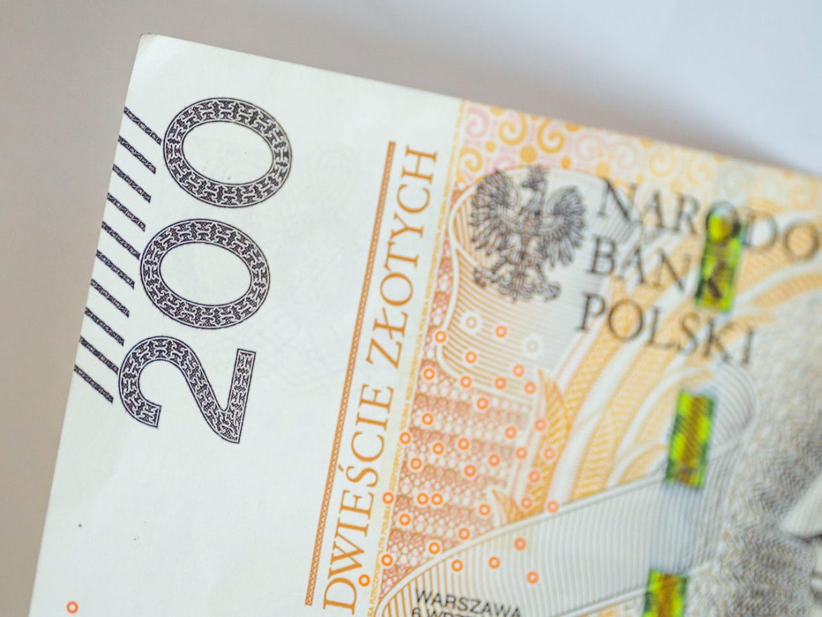 PLN, polityka fiskalna, polityka monetarna, RPP, stopy procentowe, polski złoty, fot. Pexels/SHOX art PLN, polityka fiskalna, polityka monetarna, RPP, stopy procentowe, polski złoty, fot. Pexels/SHOX art