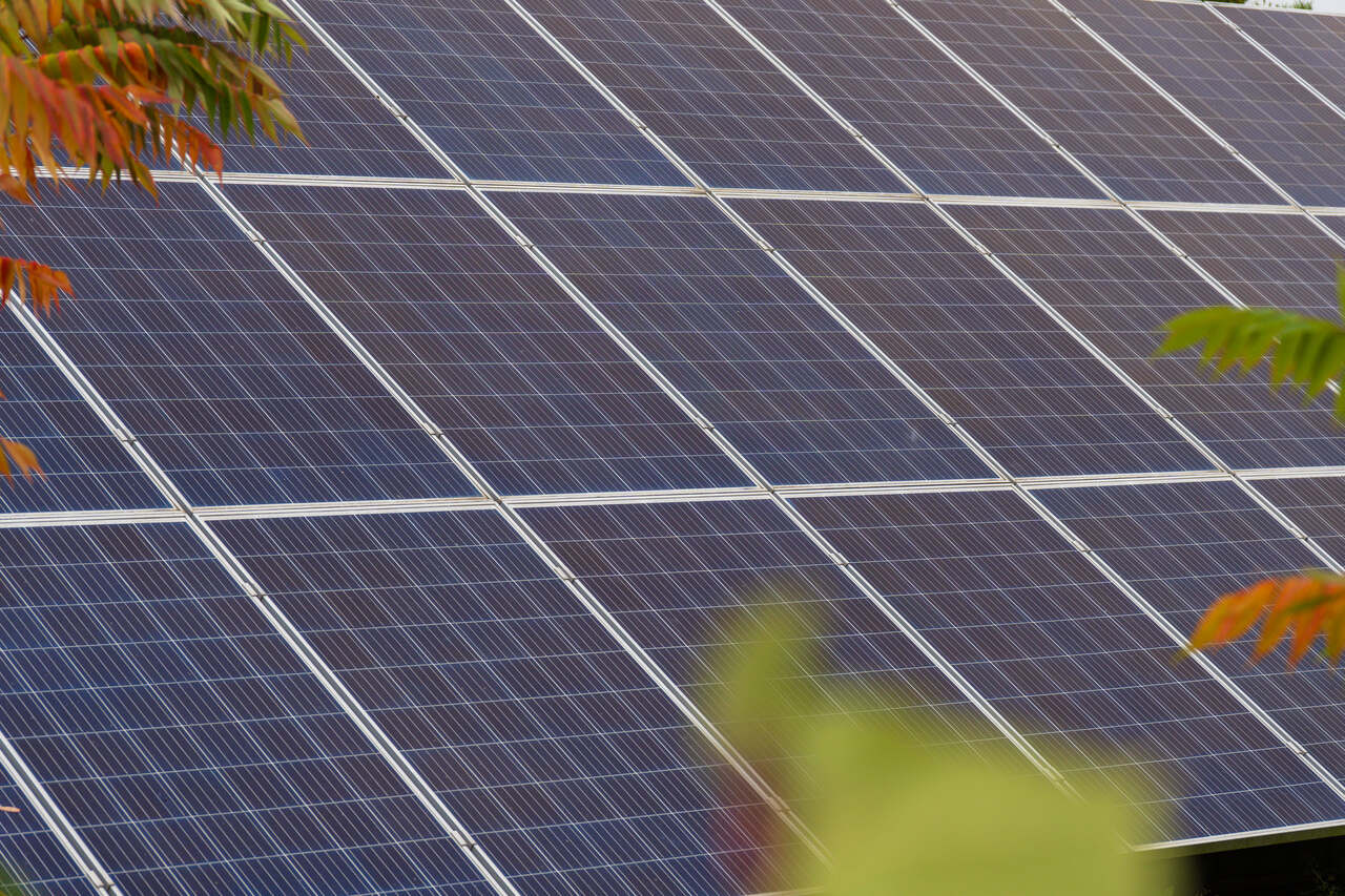 Duże farmy fotowoltaiczne przejmują rynek i będą kształtować ceny energii