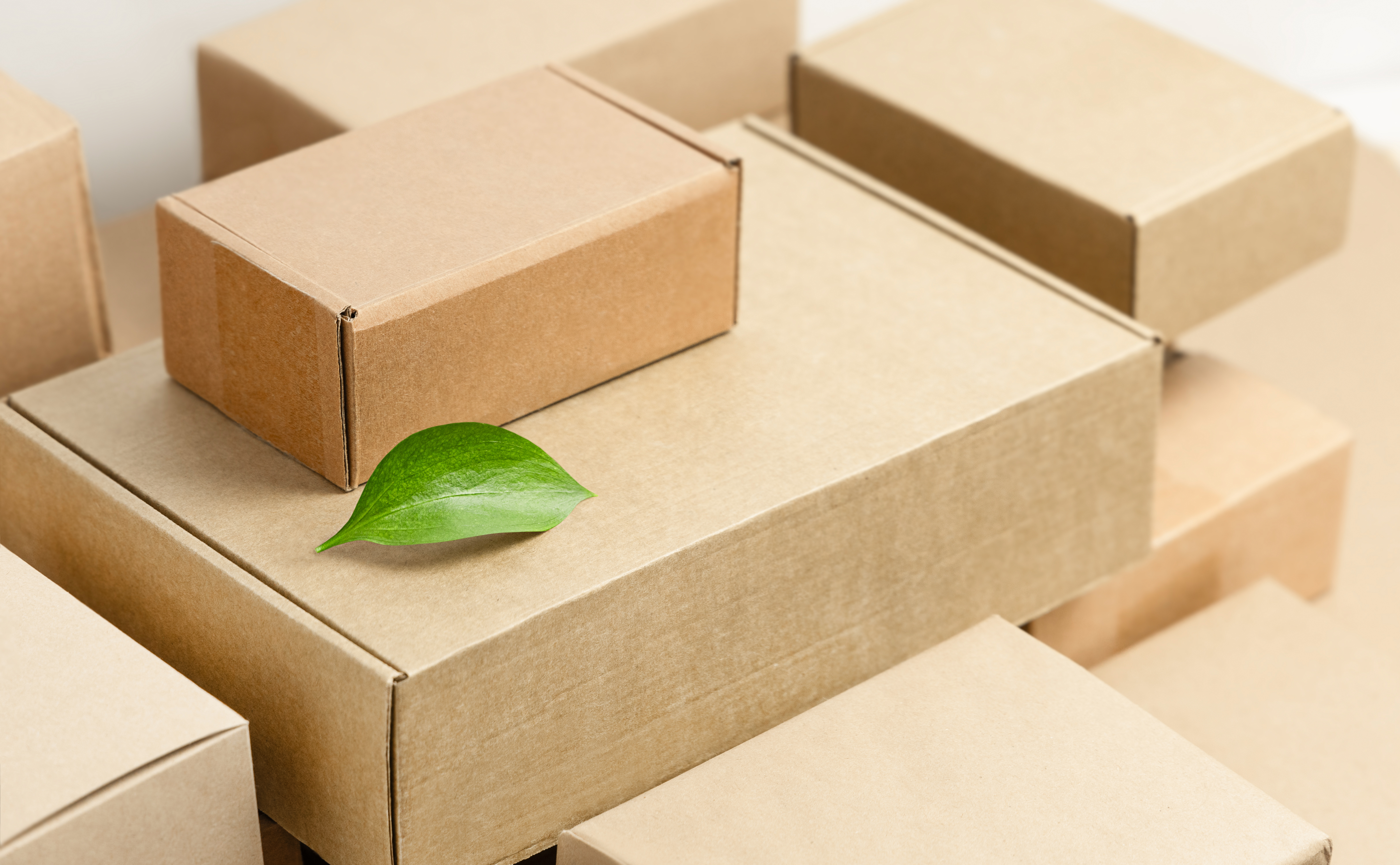 Dobry co-packer: korzyść dla firmy i dla środowiska