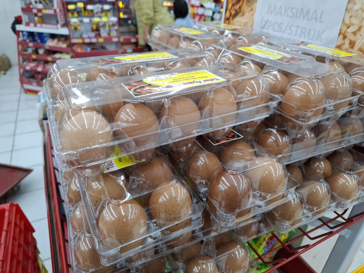 Ceny w sklepach, jajka, nabiał, indeks cen, fot. Vecteezy/Mumar Project