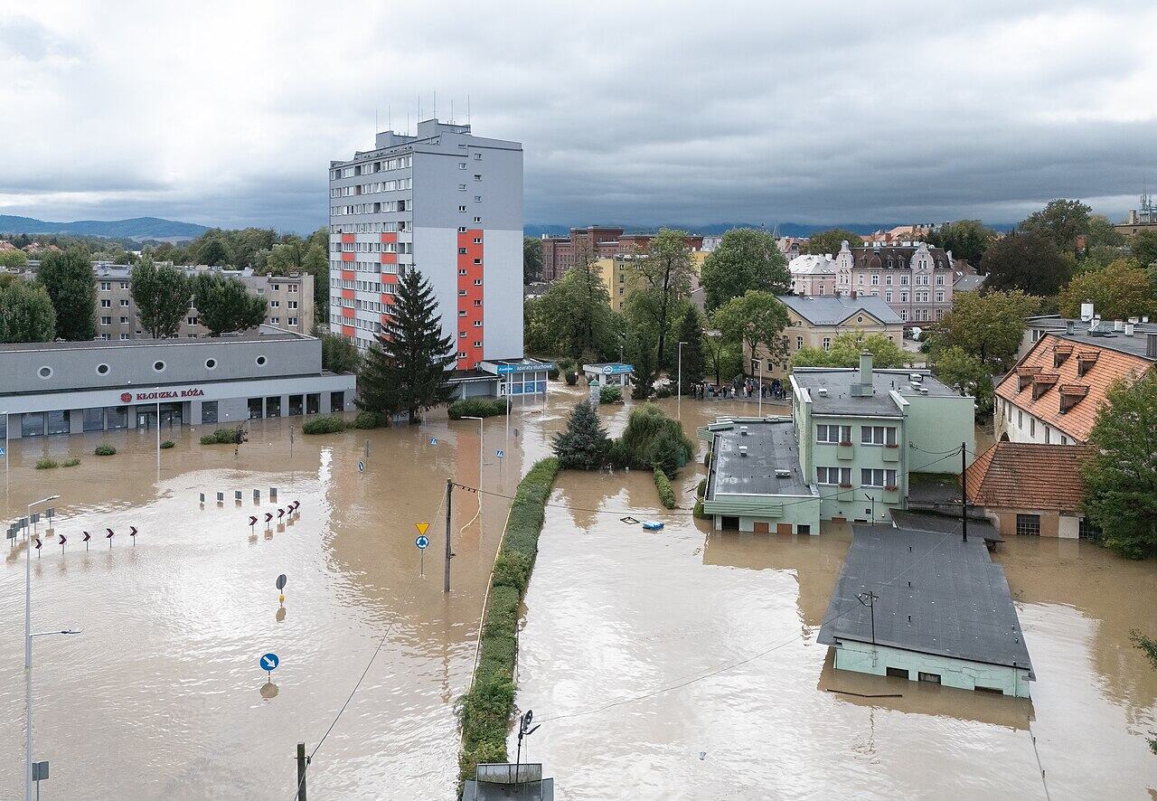 Nie tylko doraźnie. Firmy angażują się w systemową pomoc PCK