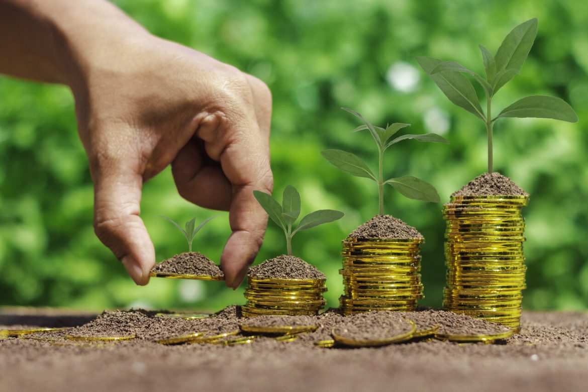 Oszczędzanie, inwestowanie, emerytura, IKE, IKZE, OIPE, lokaty, kapitał, fot. Vecteezy/Pheniti Prasomphethiran