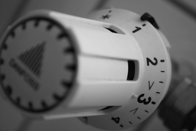 Mrozy wracają, rachunki rosną. Polacy wciąż wybierają doraźne oszczędności zamiast modernizacji