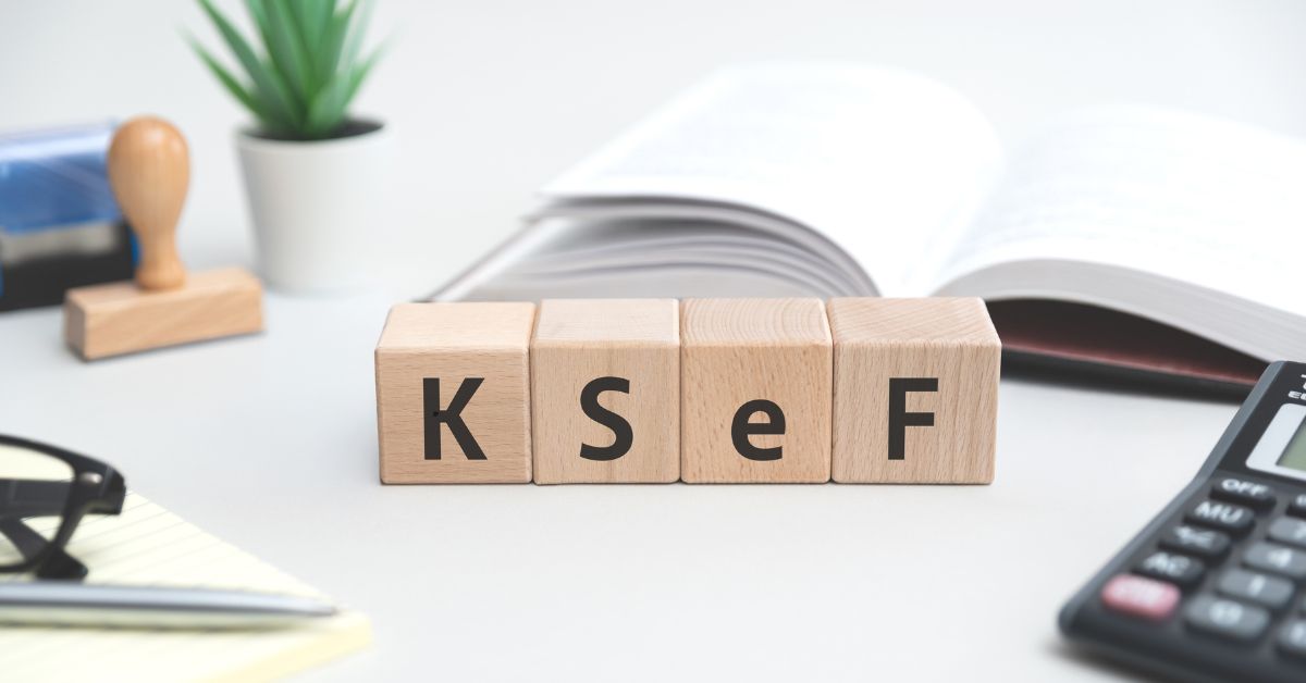 Obowiązkowy KSeF startuje już w 2026 roku! Umów się na bezpłatne konsultacje z ekspertem ANEGIS