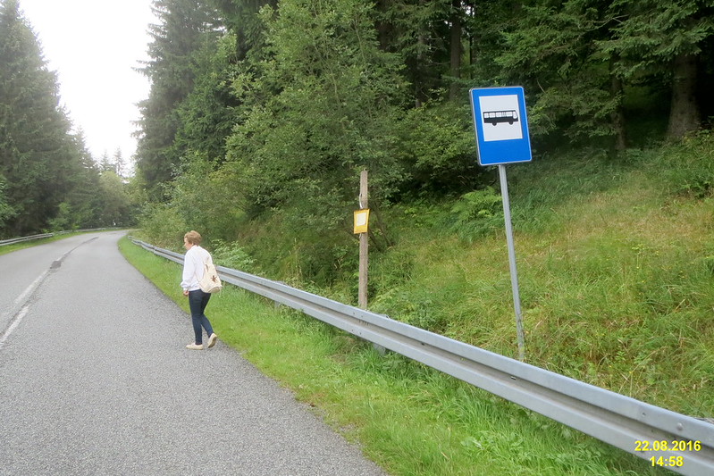 Szkoła wybrana pod autobus, praca pod rozkład jazdy. Tak działa wykluczenie transportowe
